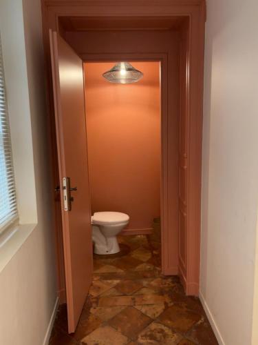 Joli appartement très calme en hypercentre, à côté du tram