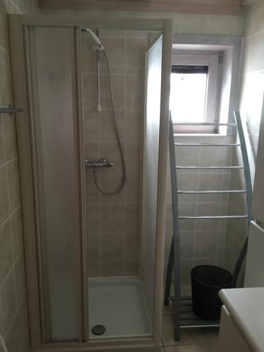 una ducha con puerta de cristal en un baño en Nieuwendamme 14, en Nieuwpoort