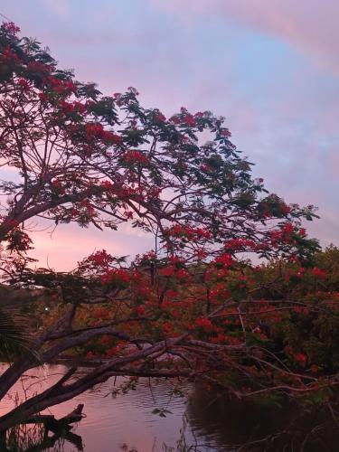 Backpackers Cozy Camping Vibe SeaSide HomeStay with Airport Shuttles