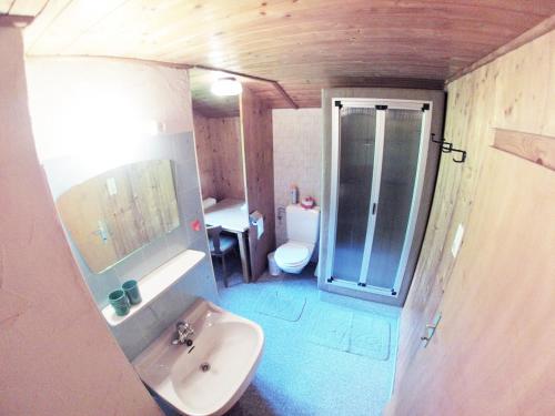 オーバーアウにあるHaus Sonnenroseのバスルーム(洗面台、トイレ、鏡付)