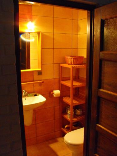a small bathroom with a sink and a toilet at Agroturystyka Zacisze Czarna Owca in Brzeżanka