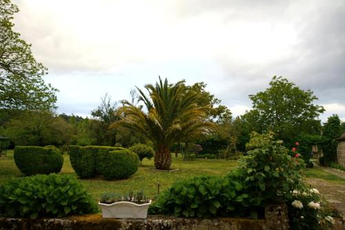 a garden with a palm tree and some bushes at Pazo Almuzara in Boborás