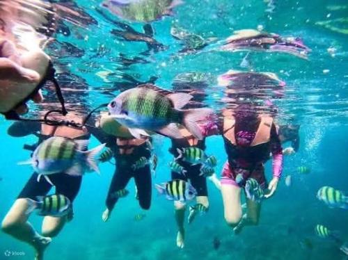 Gæster der bor på The Sunshine hostel and hotel