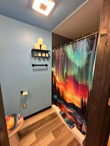 a bathroom with a shower with a colorful shower curtain at The Northern Lights Oasis in Wasilla