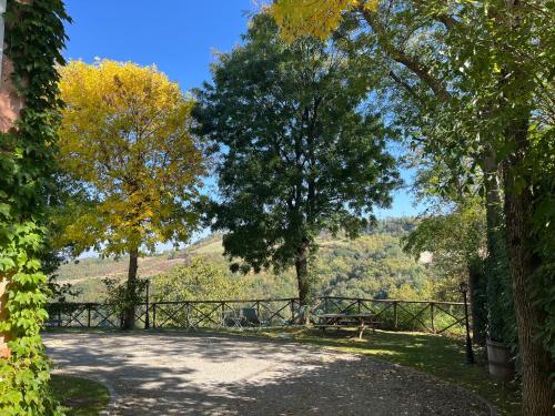 Antico Podere San Luca - Bed & Breakfast photo 61