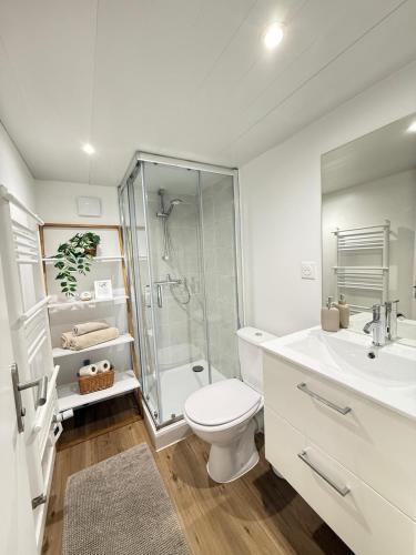 a bathroom with a toilet and a shower and a sink at Studio moderne 4 pers max proche Paris in Fontenay-lès-Briis
