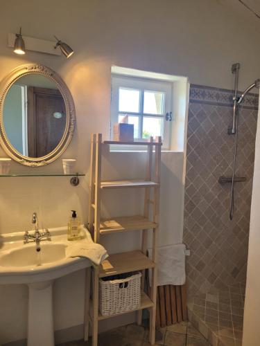 een badkamer met wastafel en douche met spiegel bij Le Mas En Provence in Entrechaux