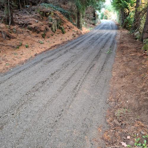a dirt road with trees on the side of it at La Grange de La Coste in Saint-Barthélemy-le-Meil