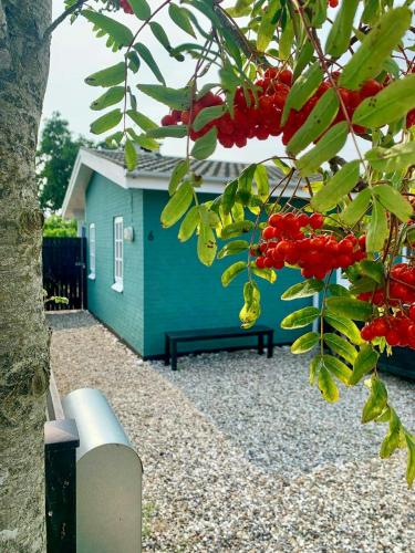 a blue house with a bench in front of it at Ferienhaus In Strandnähe In Otterup in Kristiansminde