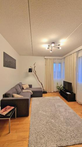 a living room with a couch and a tv at Kotoisa Kaksio Levähdä Täällä ja Parkki in Lahti