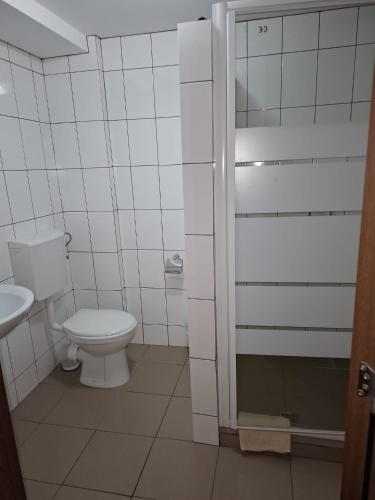 a white bathroom with a toilet and a shower at Vila Apuseni in Arieşeni