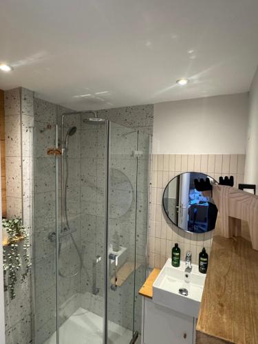 a bathroom with a shower and a sink and a mirror at Charming studio with balcony in Samoëns