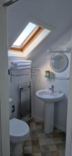 ein Badezimmer mit einem Waschbecken, einem WC und einem Dachfenster in der Unterkunft Black Sheep Lodge in Holyhead