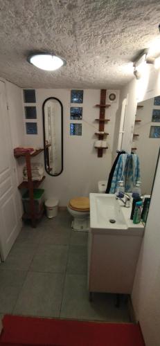 a bathroom with a sink and a toilet and a mirror at Studio La Cheneraie in Bargemon