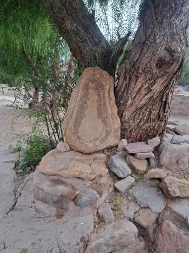 Billede fra billedgalleriet på Posada LO DE ELIAS i Tilcara