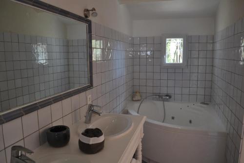 y baño con lavabo, bañera y espejo. en Tivoli en Provence, en Cotignac