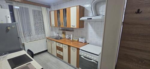 eine kleine Küche mit einer Spüle und einer Theke in der Unterkunft Apartament Central in Câmpina