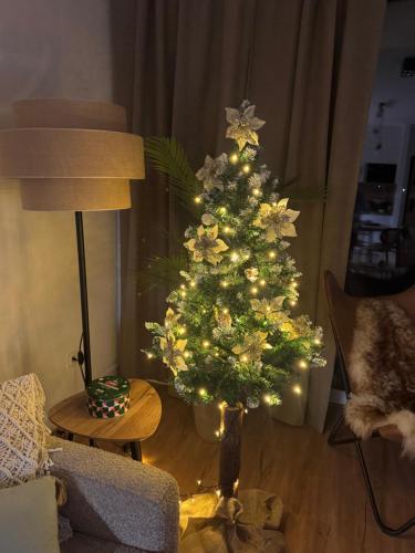 Et opholdsområde på Vista Izera