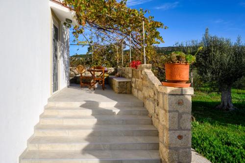 Yannis Place