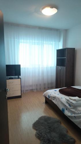 a bedroom with a bed and a television and a rug at Apartament modern 3 camere ultracentral McDonalds Orange in Craiova