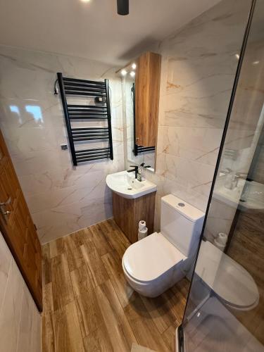 a bathroom with a toilet and a sink at Spacerowy Zakątek in Ślemień