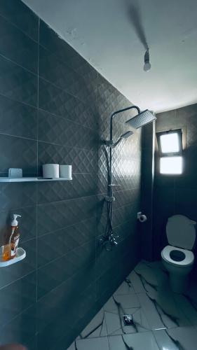 a green bathroom with a toilet and a sink at dar naim in Chefchaouen