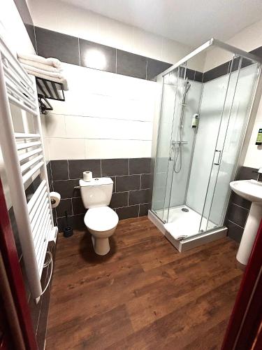 a bathroom with a toilet and a glass shower at Logis Hôtel Les 200 Bornes in Pouilly-sur-Loire