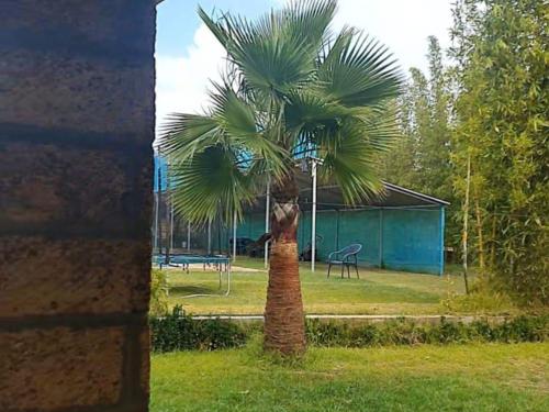 Een tuin van Ferme d'hôtes Safi