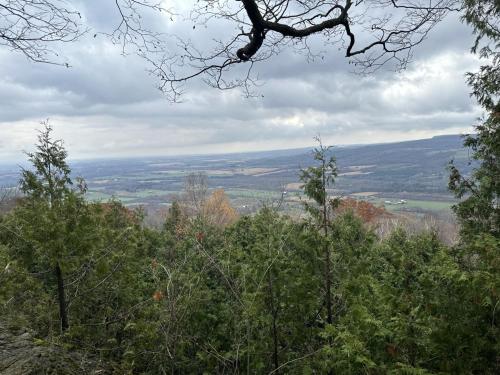 a view from the top of a hill with trees at 19th Hole Hideaway in Collingwood