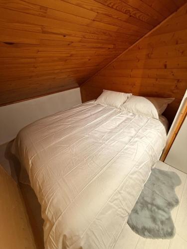 Snow Home Duplex La Plagne Village