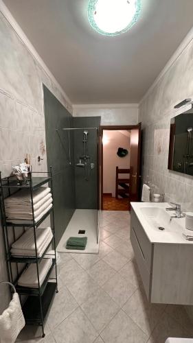 a bathroom with a shower and a sink at Appartamento " Al ponte degli Sbirri " centro Comacchio in Comacchio