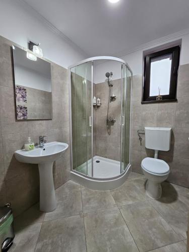 a bathroom with a shower and a toilet and a sink at Casa Giulia in Jimbolia