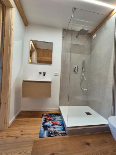 a bathroom with a shower and a sink at NEW Locanda da Raimondo - das Knarren der Zeit in Tarvisio