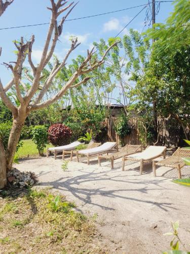 En have udenfor Sweet Home