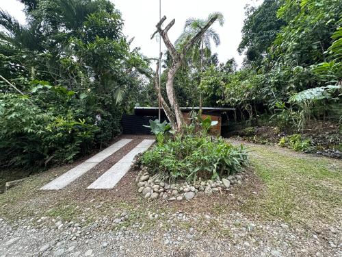 Billede fra billedgalleriet på Cahuitas red frog house i Talamanca