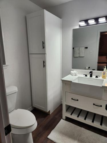 a bathroom with a toilet and a sink and a mirror at Game Day Getaway in Arlington