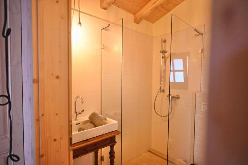 een badkamer met een wastafel en een glazen douche bij Garden Apartment in Flachau