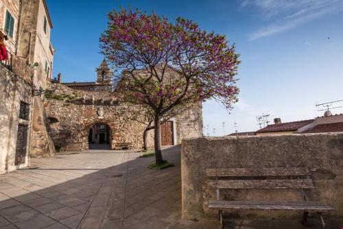 a bench sitting in front of a building with a tree at La Casetta in Rosignano Marittimo