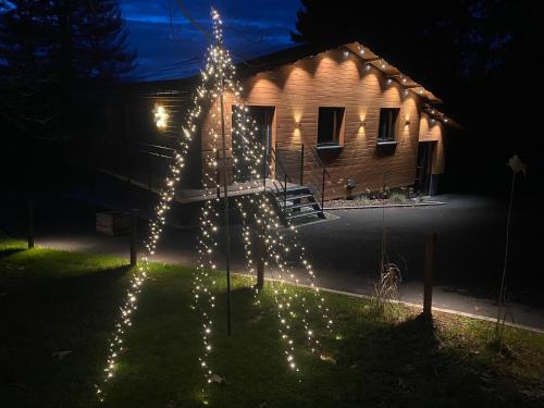 ein Weihnachtsbaum mit Lichtern vor einem Haus in der Unterkunft La Roanneuse - Cosy Chalet in Francorchamps