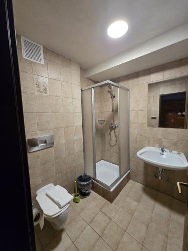 a bathroom with a shower and a toilet and a sink at Hotel Haus Kärnten in Bad Bleiberg