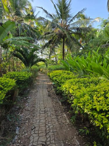 een geplaveid pad door een plantage met palmbomen bij Natural living eco resort in Malindi