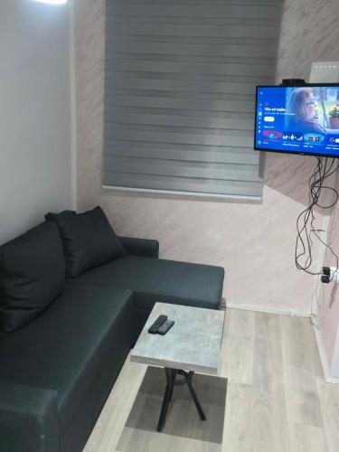 een woonkamer met een bank en een flatscreen-tv bij Lena Apartmani 5 in Odžaci