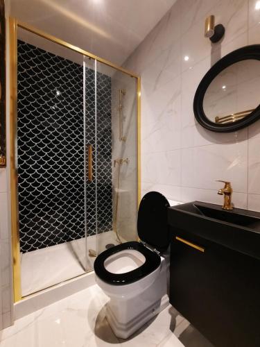 a bathroom with a shower and a toilet and a sink at Cozy Zdrój in Lądek-Zdrój