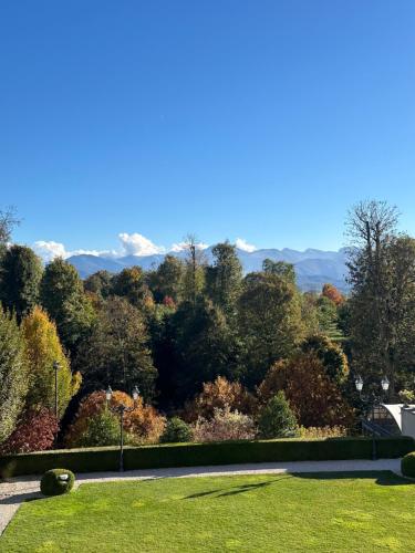 a view of a park with trees and a road at L'Orangerie in Morozzo