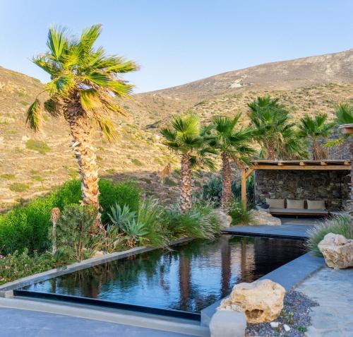 een zwembad met palmbomen en een huis bij Luxury Villa Delphinus - AllParos Villas in Paraspóri