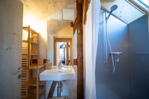 Ένα μπάνιο στο Bijoux in the Swiss mountains