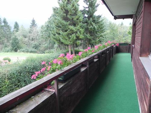 a garden with flowers on a wooden fence at Ferienwohnung Schautzgy in Reutte