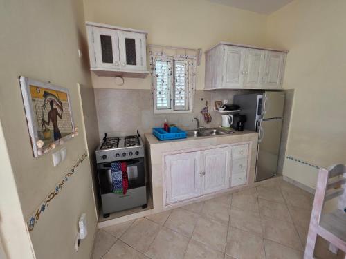 Kuchyň nebo kuchyňský kout v ubytování Casa Djarmai Boutique Apartments