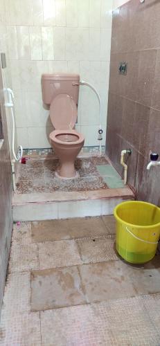 ein Badezimmer mit einem rosa WC und einem Eimer in der Unterkunft Block White Town Home Stay in Puducherry
