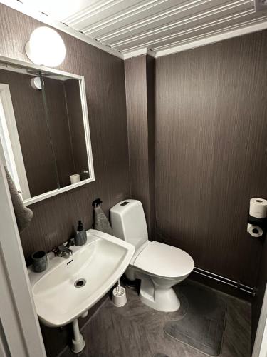 Un baño con un inodoro blanco y un lavabo. en Good Apartment's Sälen Transtrand, en Transtrand